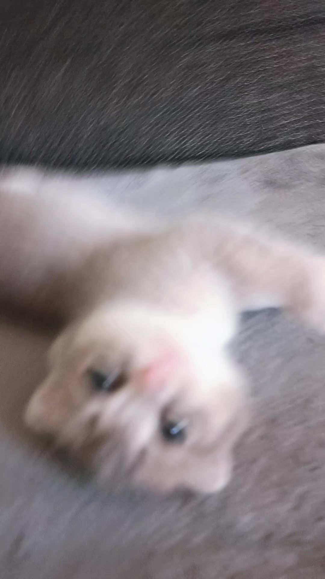 @@пубгер@