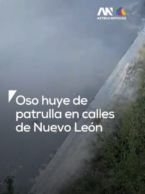 @Azteca Noticias