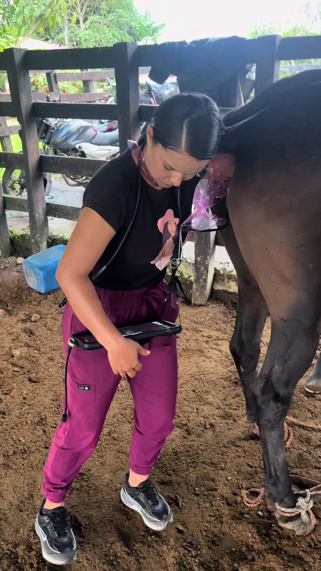 @Dra. Jessica Casas 👩🏻&zwj;⚕️🐴