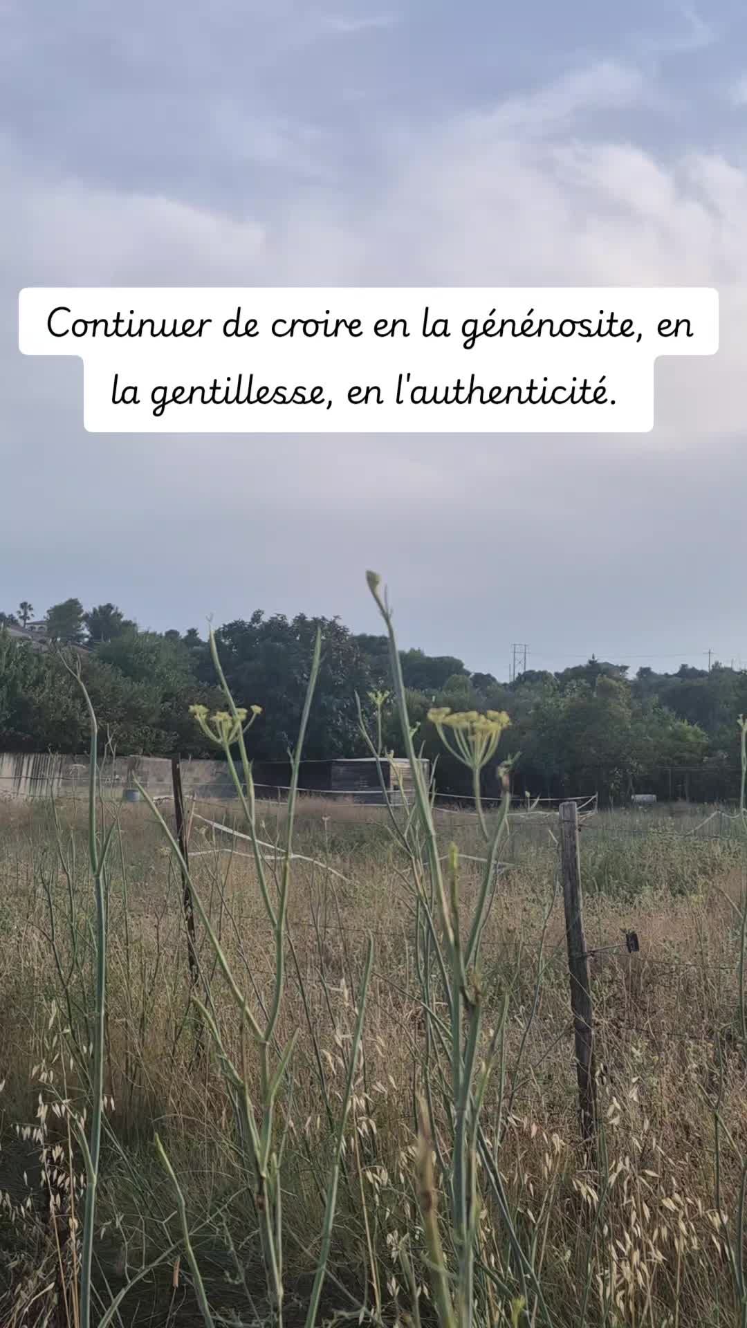 @Rose et Armure