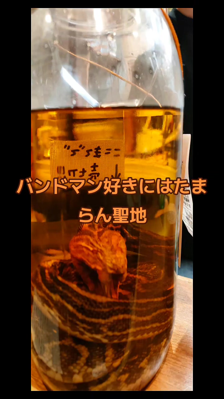 @MIYAVI2NS