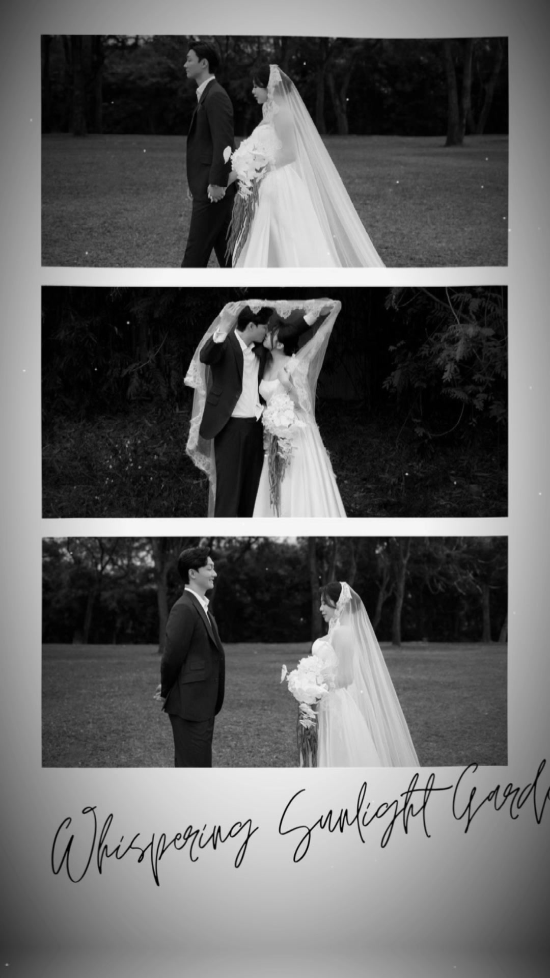 @Concept ảnh cưới JEJU Wedding