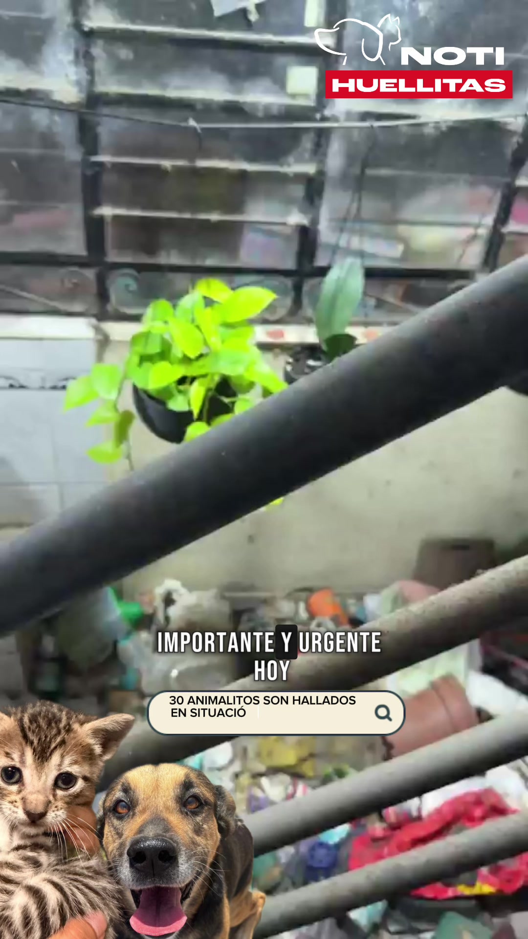 @El chico de las noticias