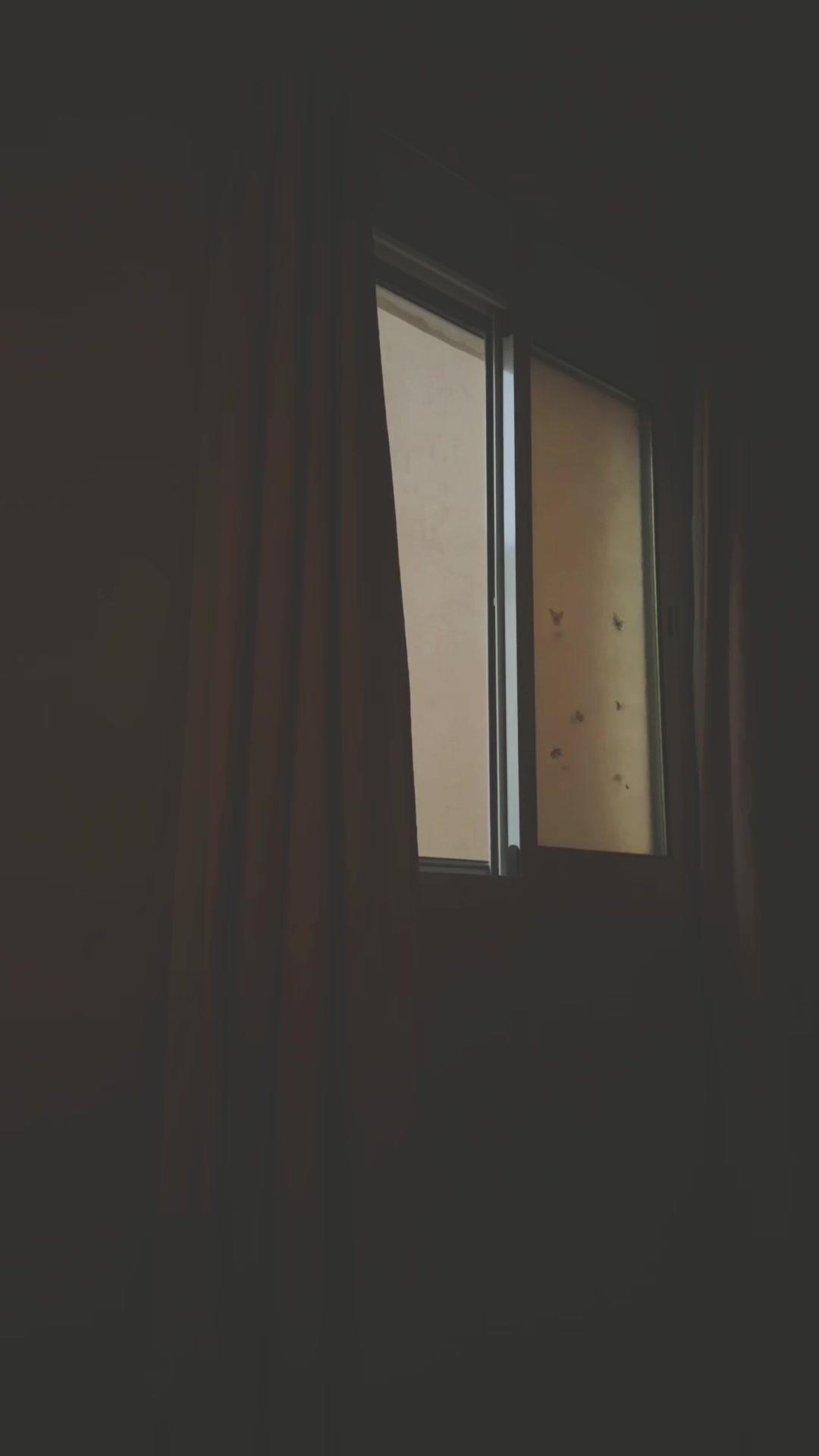 @𝜗𝜚 ˖ . ݁ dalia | ﮼داليا