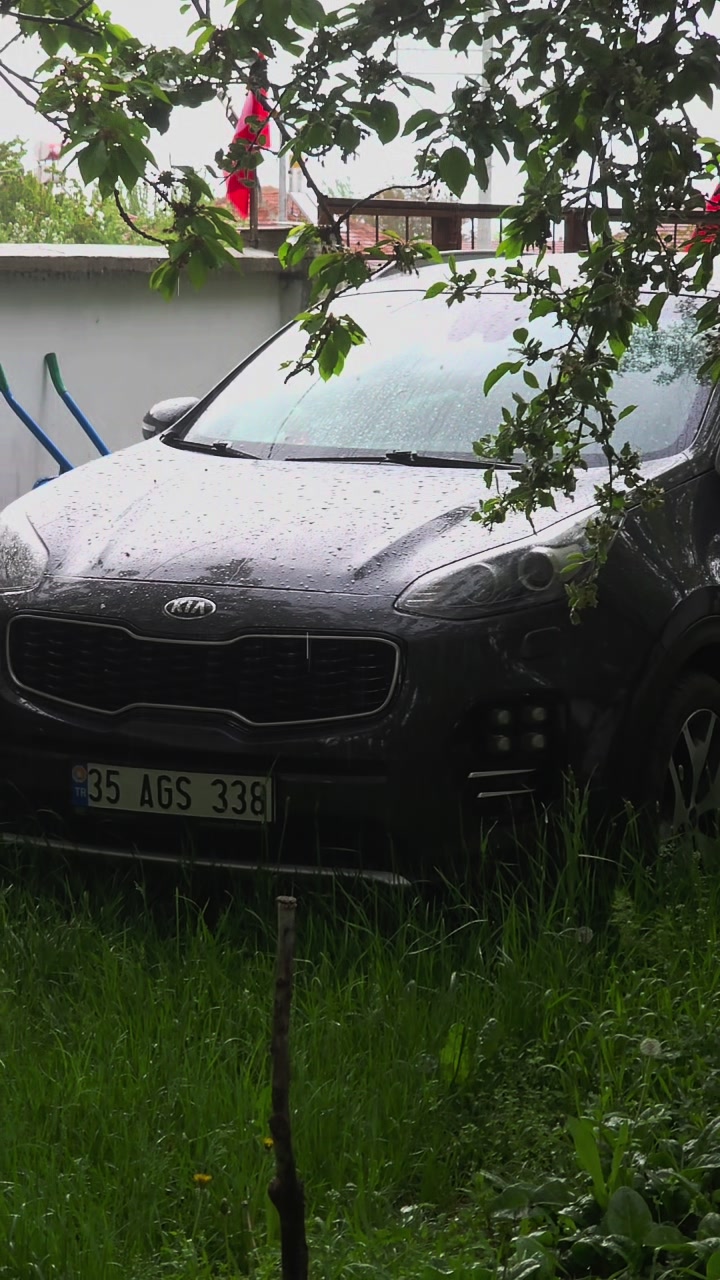 @Kia Peugeot Toyota