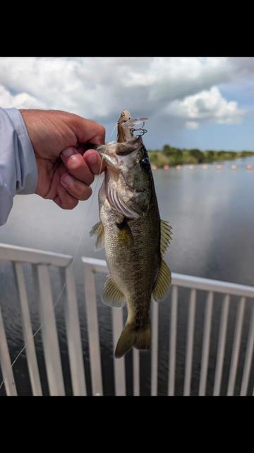 @Team Fat Kid Fishing