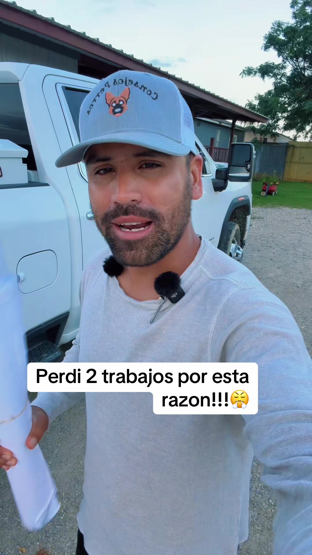 @Consejos Perros 🐶