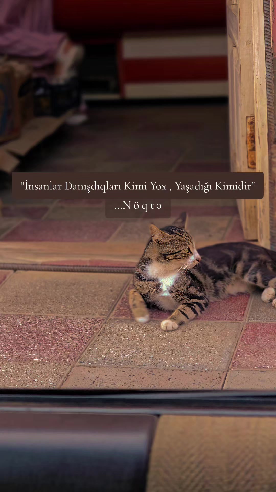 @...Noqte