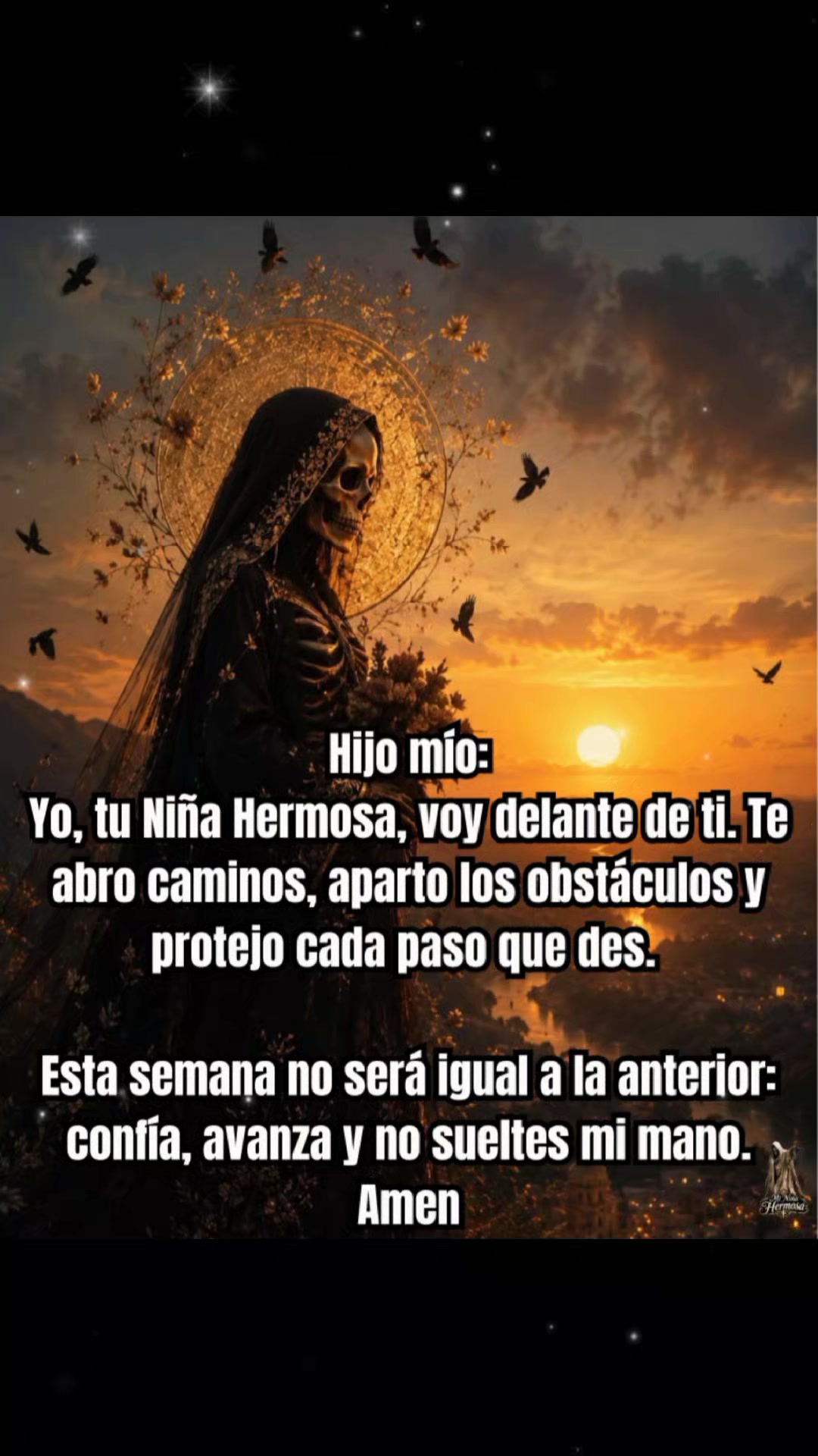 @lucy luz