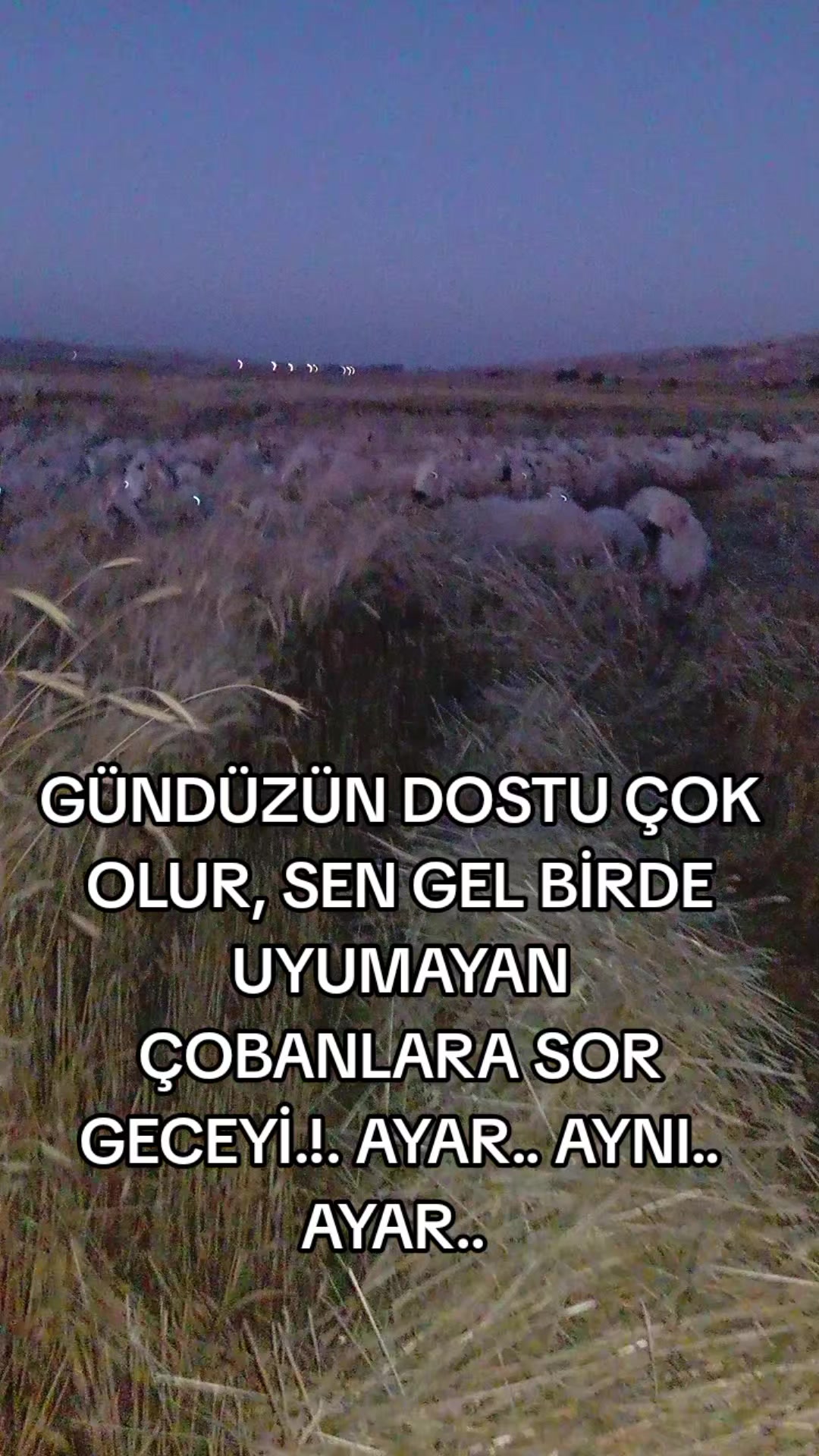 @HAYAL KEŞ