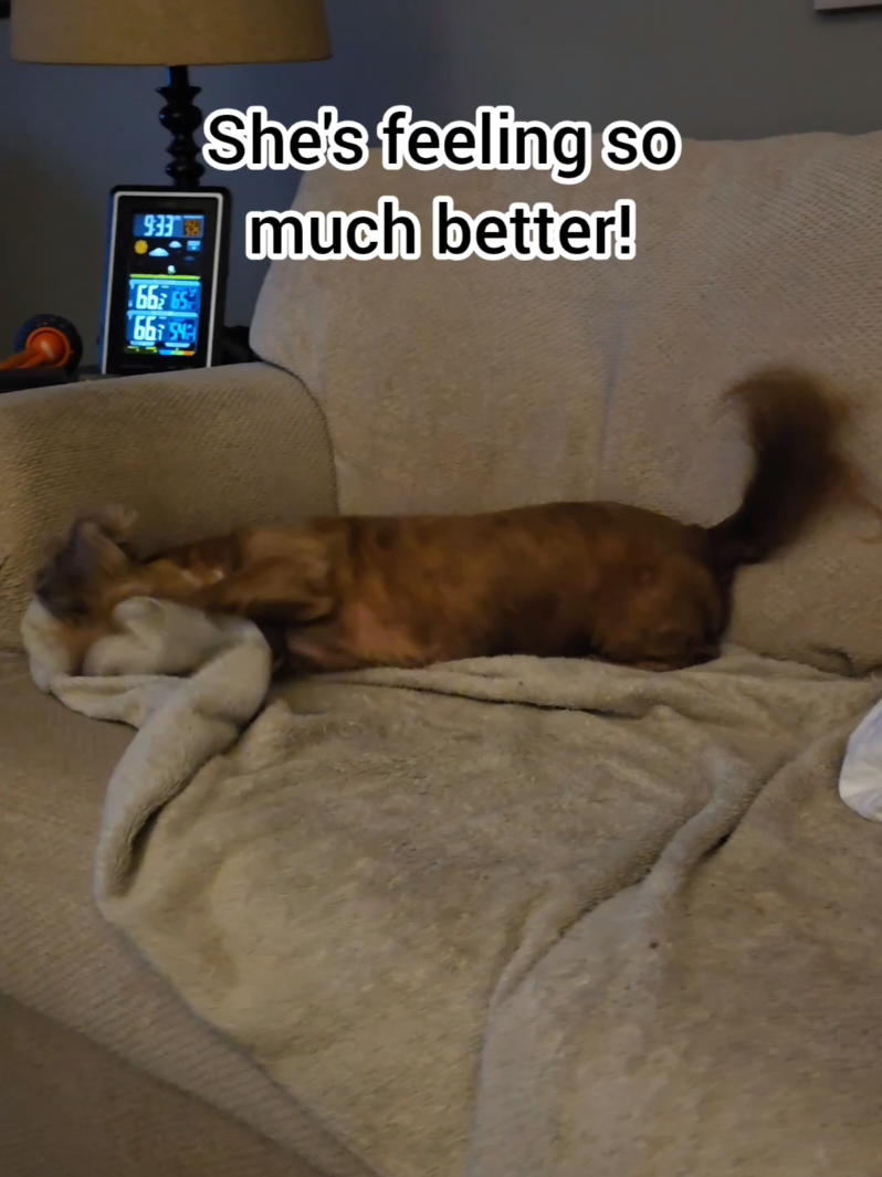 @BuddyandMikes Pal