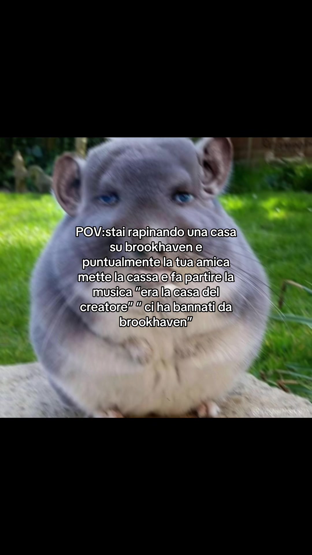 @sonosempremichyy