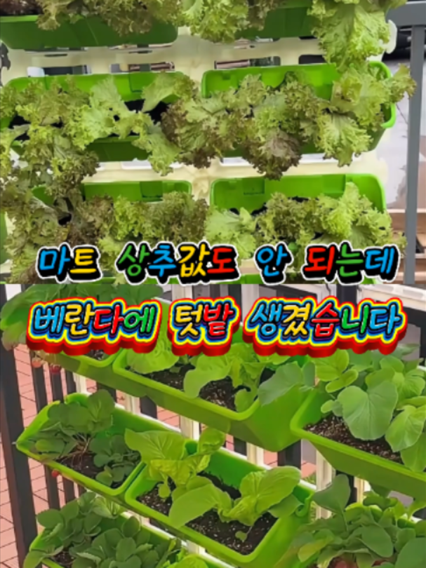 @부러쇼핑
