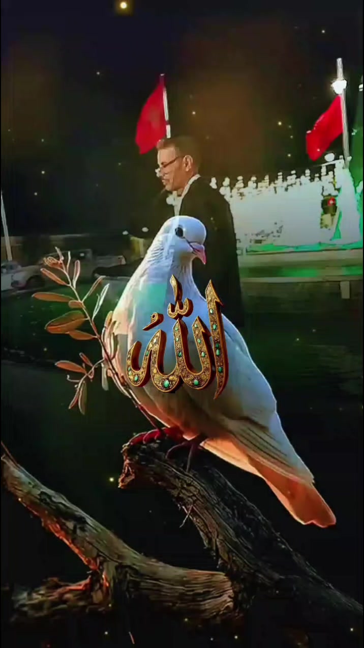 @3abdo889laayoun