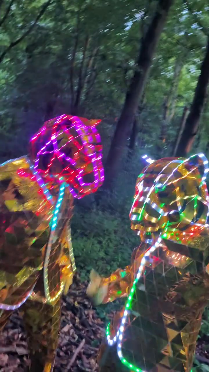 @vsledmirrorcostumes