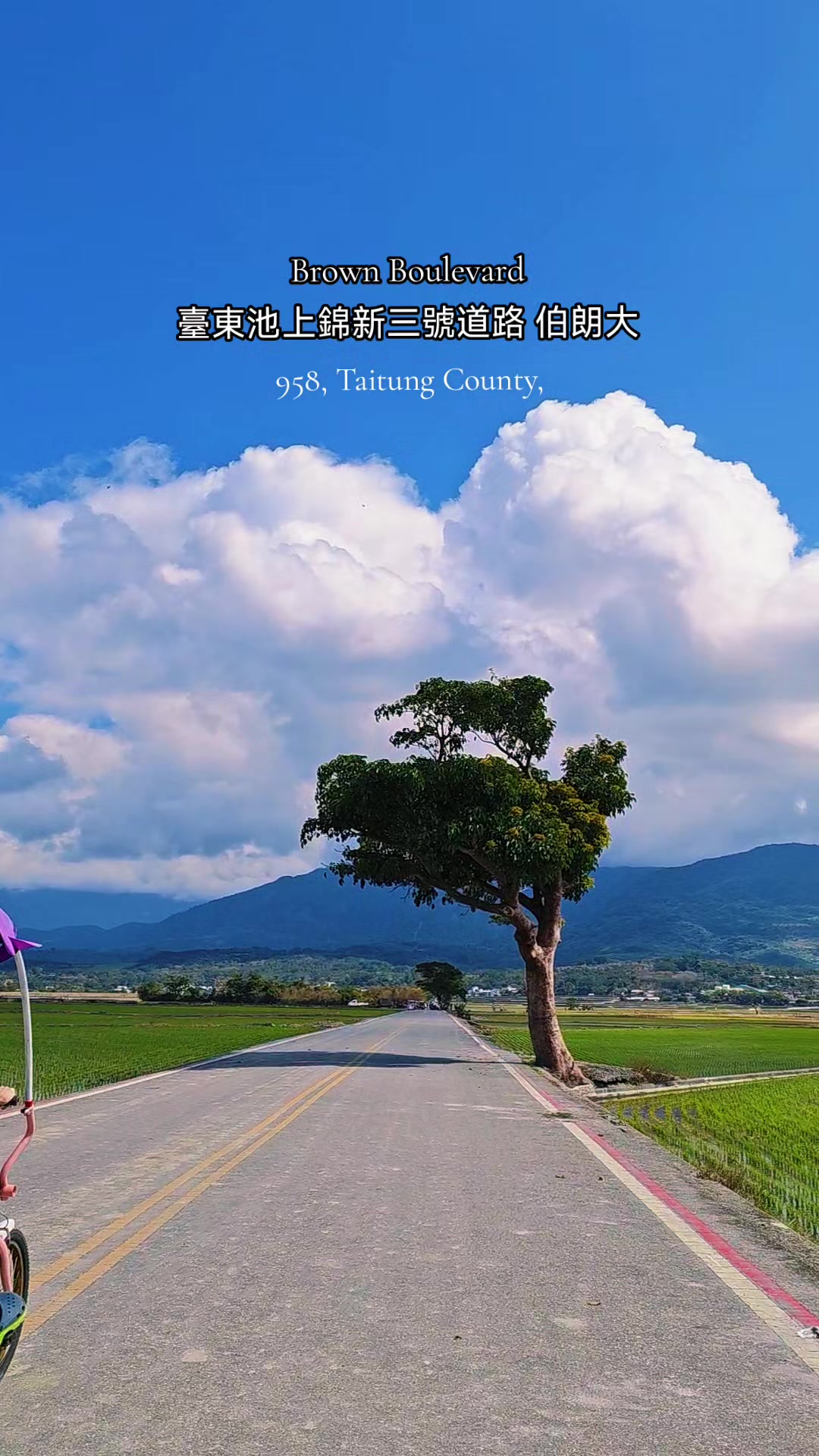 @Mark馬克⛰️🍃🇮🇹🇹🇼