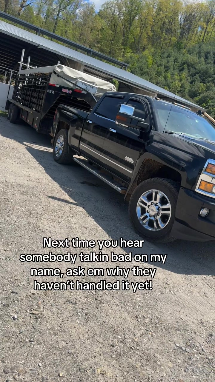 @tripleclivestock