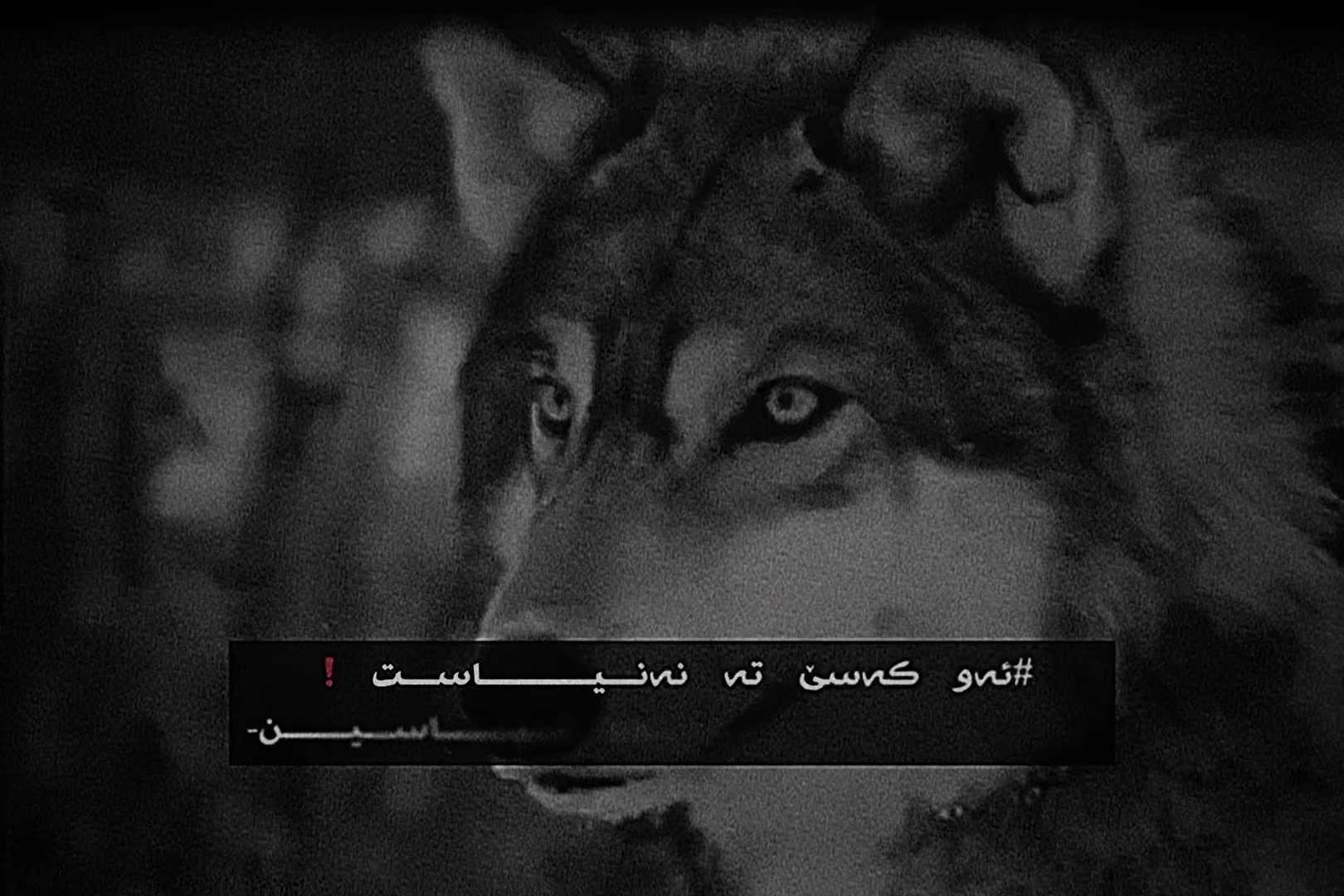 @᷂فــەرو𝘑𝘈𝘕𝘎𝘈𝘞𝘈𝘙