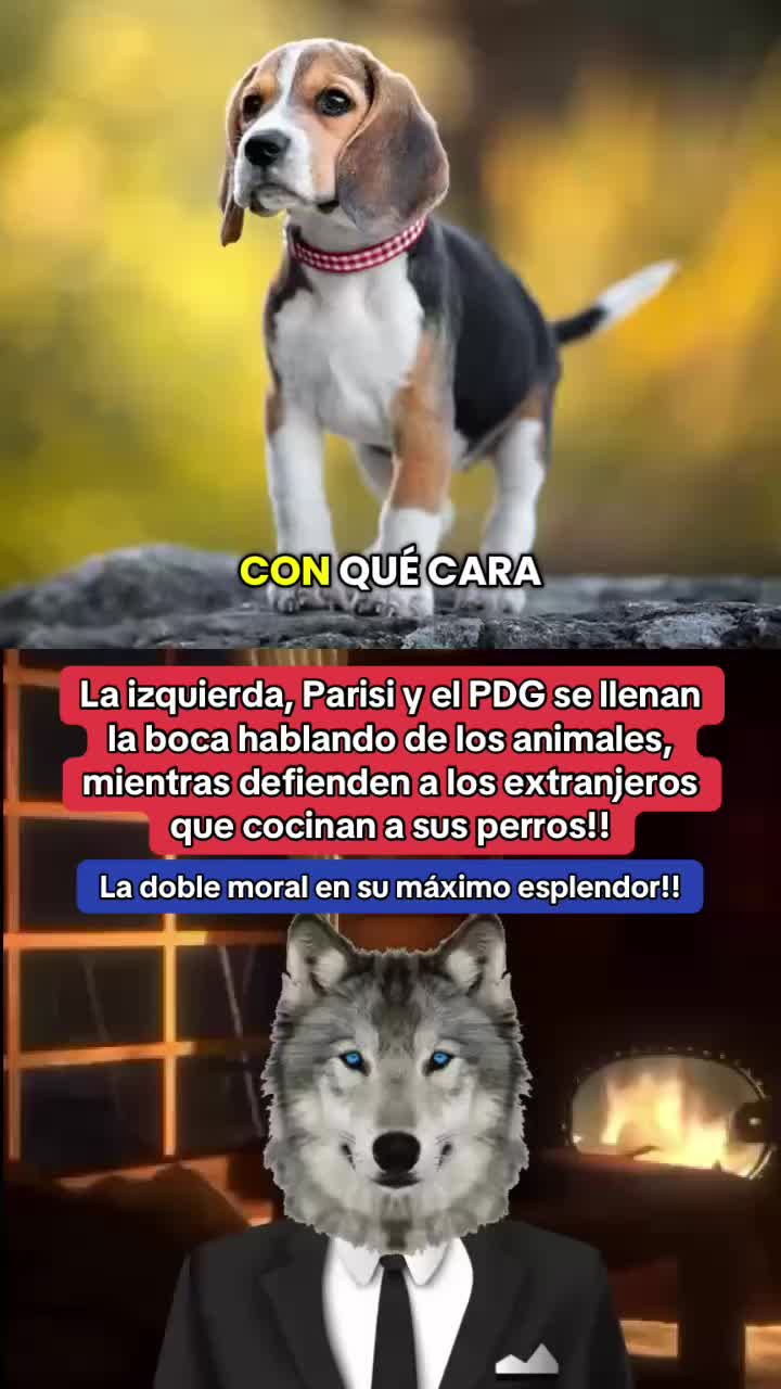 @Lobo Pills 🐺🇨🇱🇵🇸✝️
