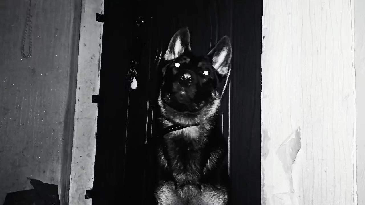 @𝖙𝖆𝖎𝖑𝖊𝖉_𝖈𝖍𝖔𝖑𝖊𝖗𝖎𝖈