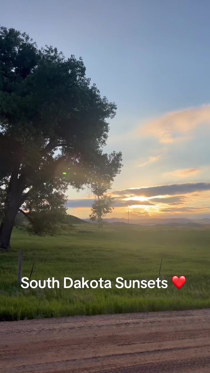 @❤️Lisa❤️