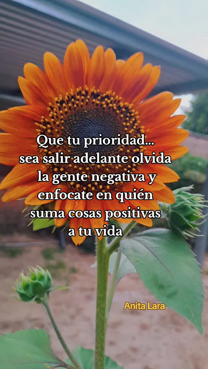 @Anita Lara