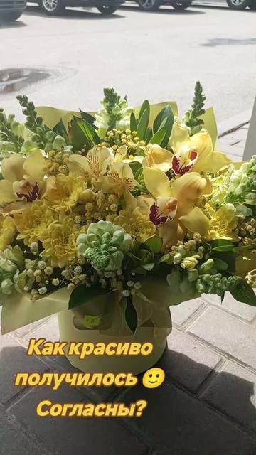 @Solnishko 777🌞❤️🕊️