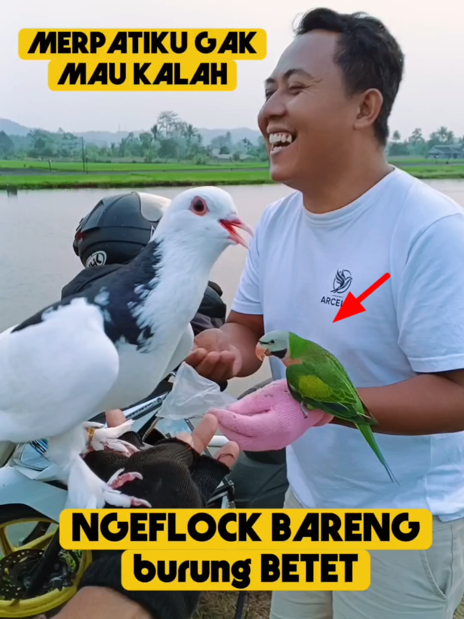 @BANG LEYON