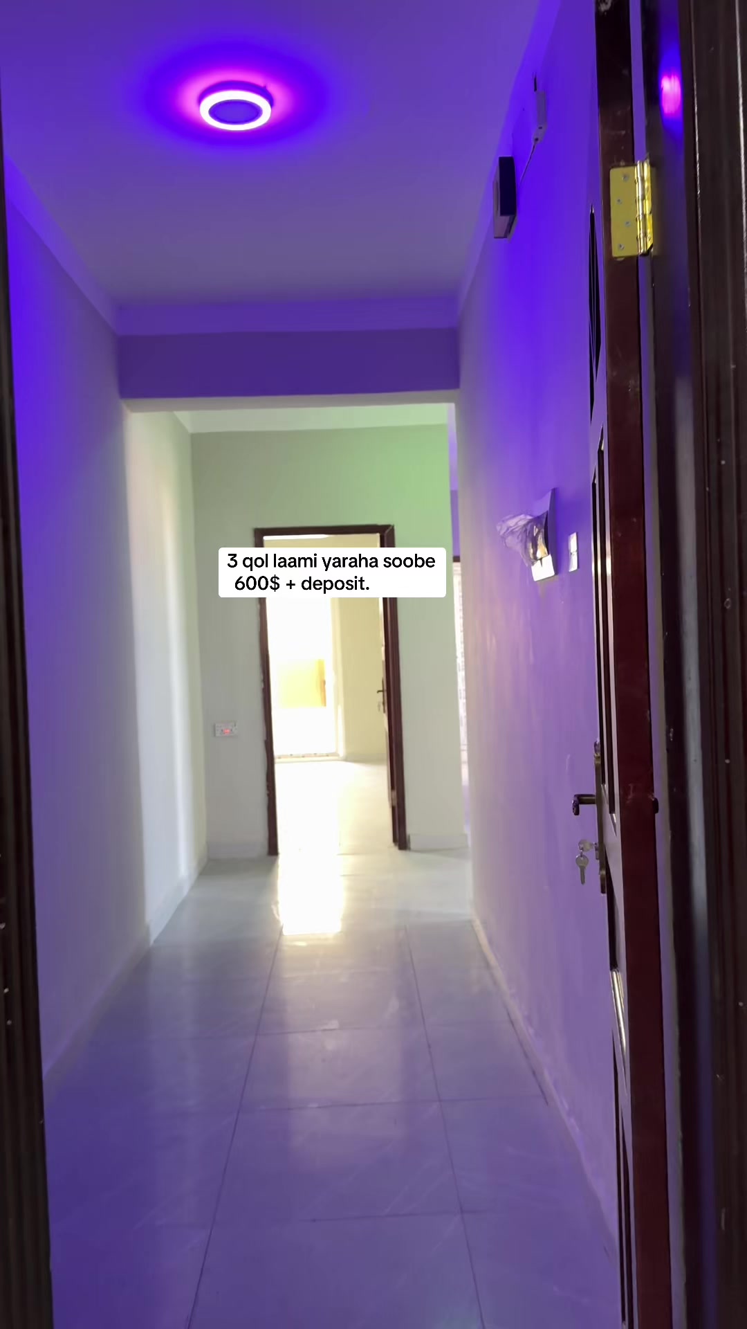@Kireeye company