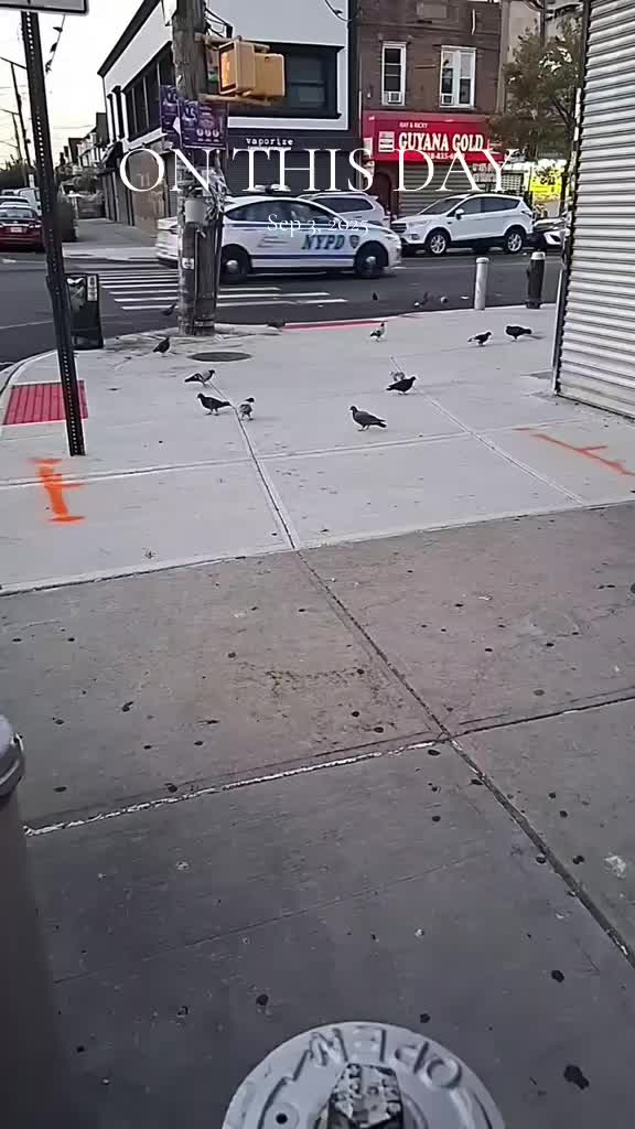 @MŘ.ĶĘvĮŇ