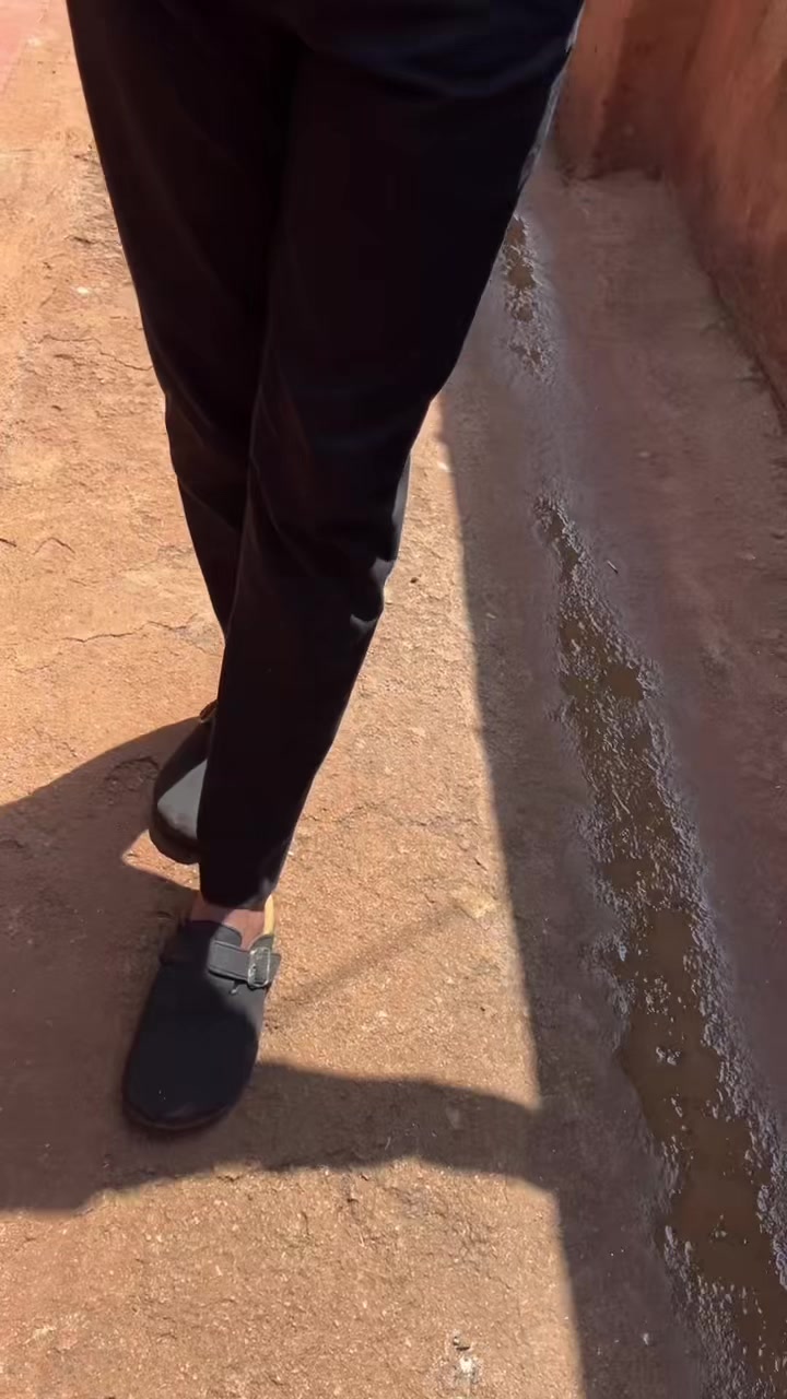 @🕸️💸