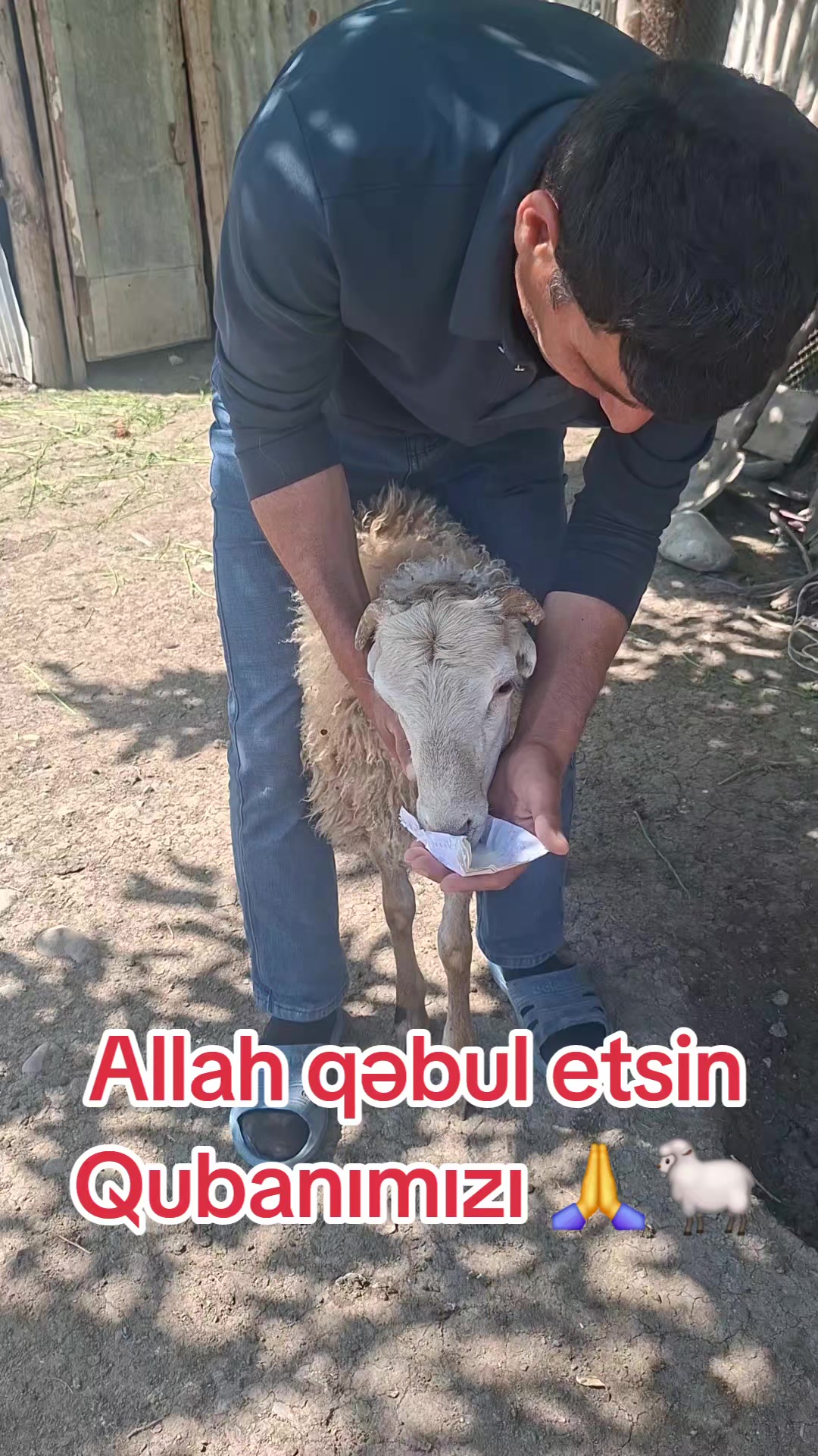 @REGİYON 41 🖤🦅