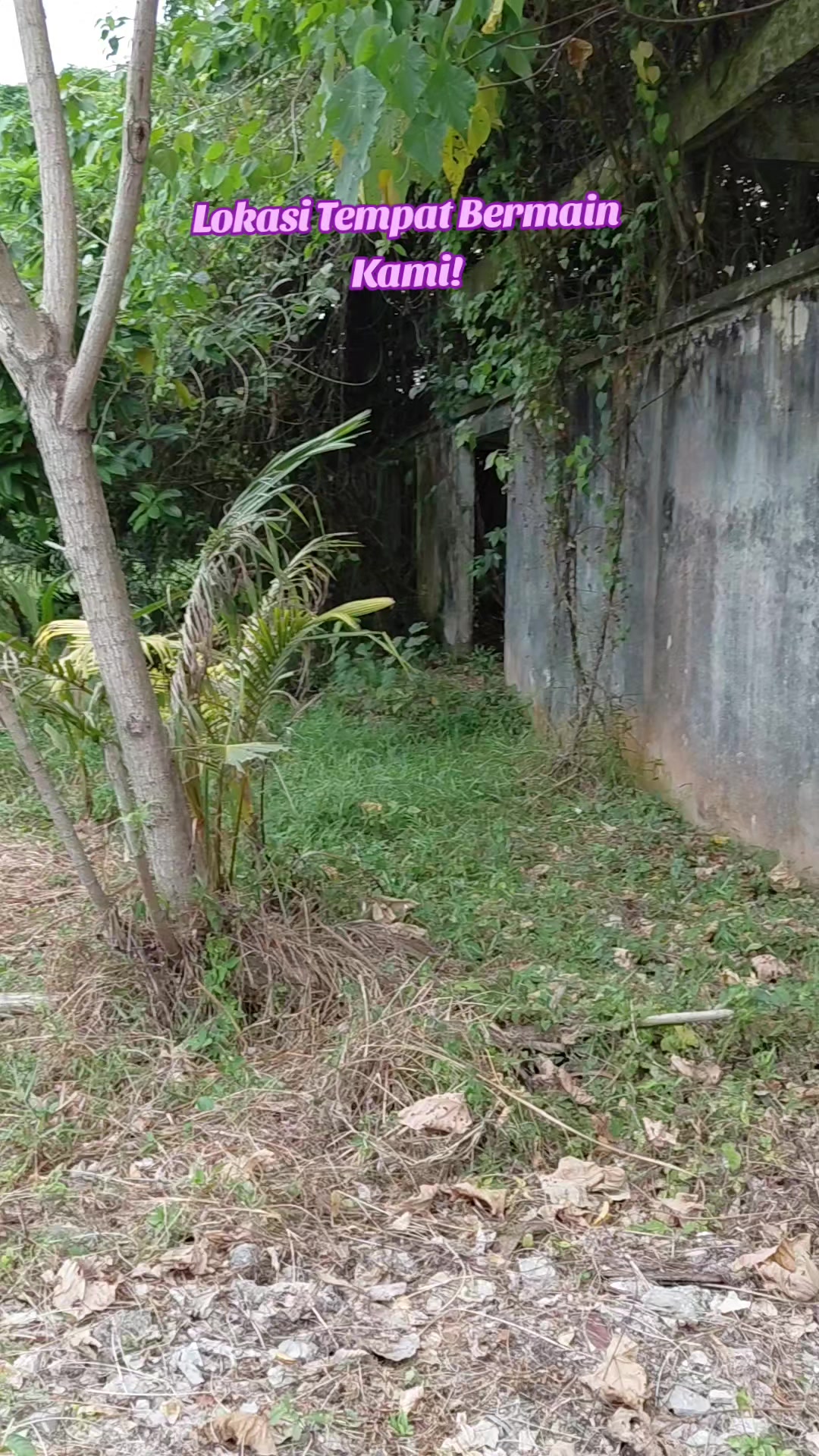@Gagak_Hijau