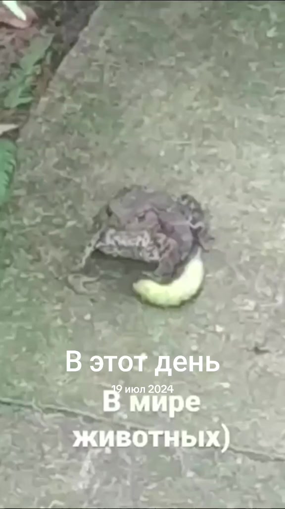 @Ирина