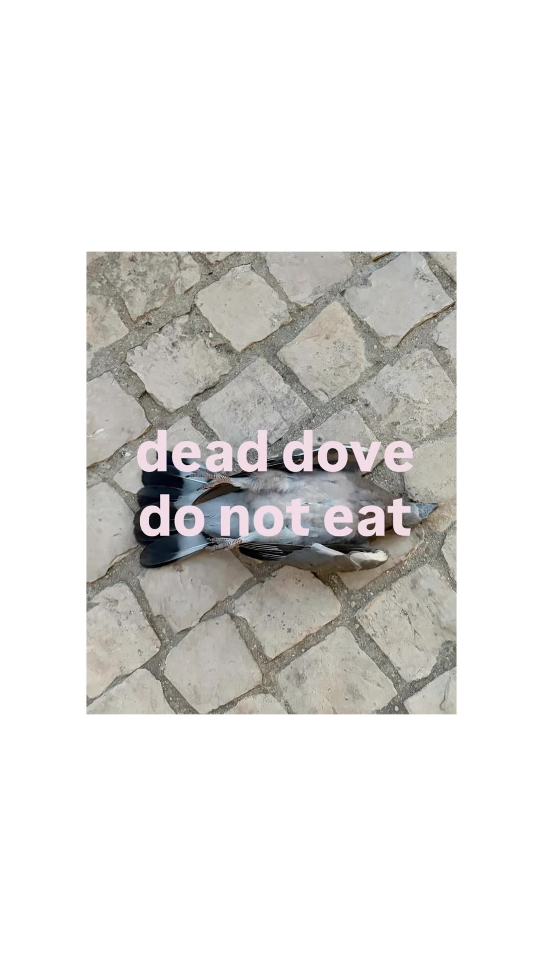 @Olivia