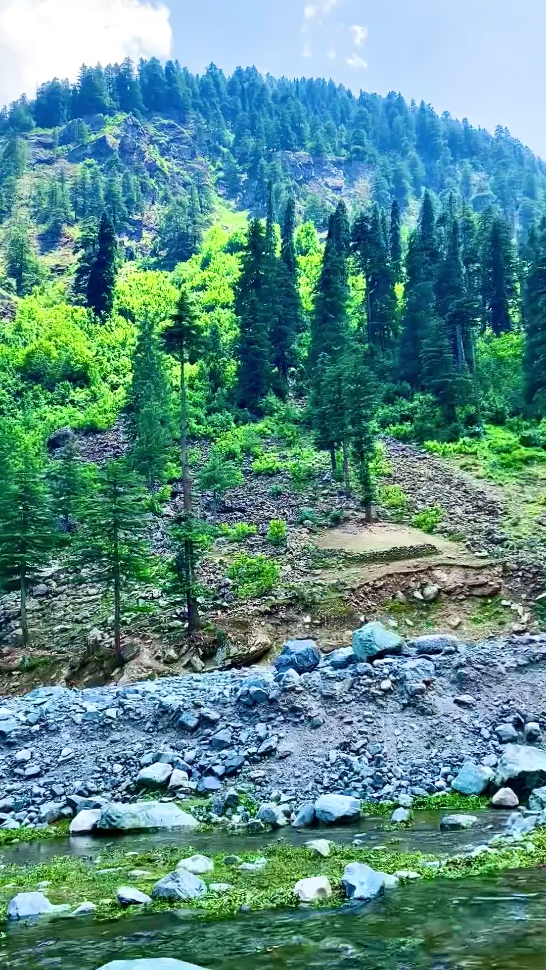 @🌳Aesthetics.Views🌳🌿