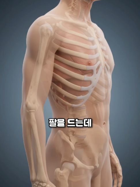 @견우한의원