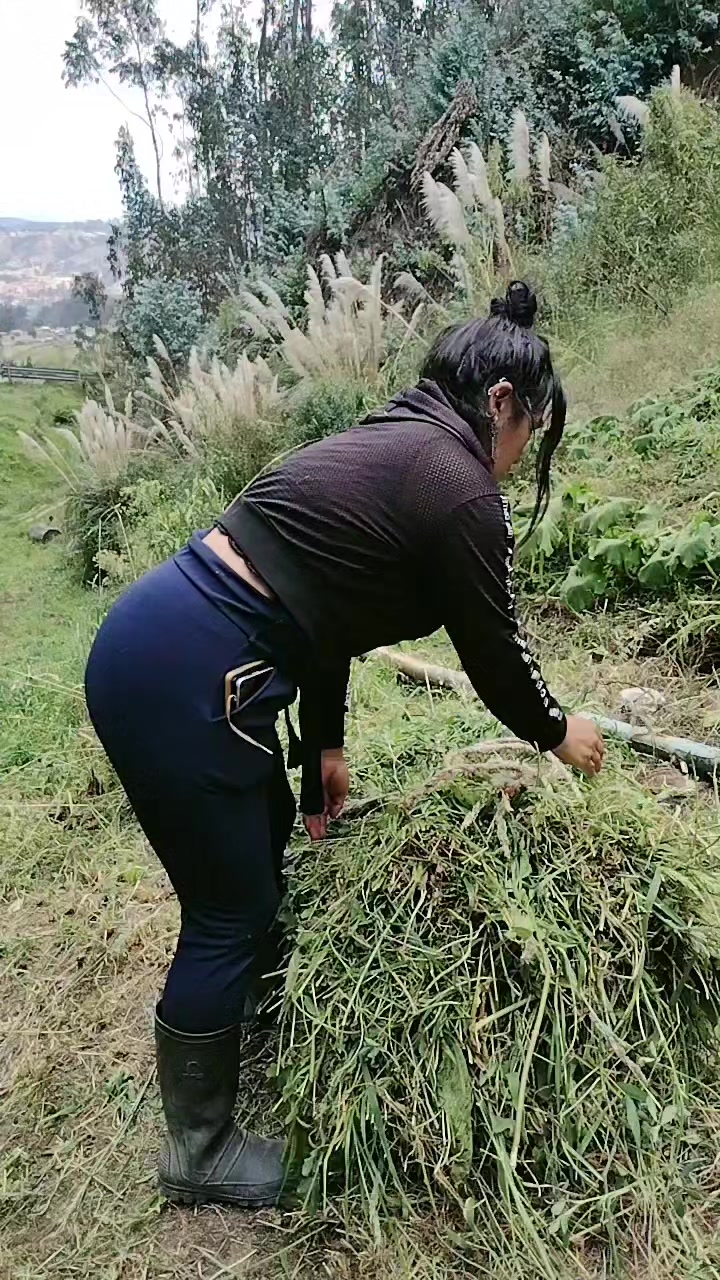 @veronicasarmiento