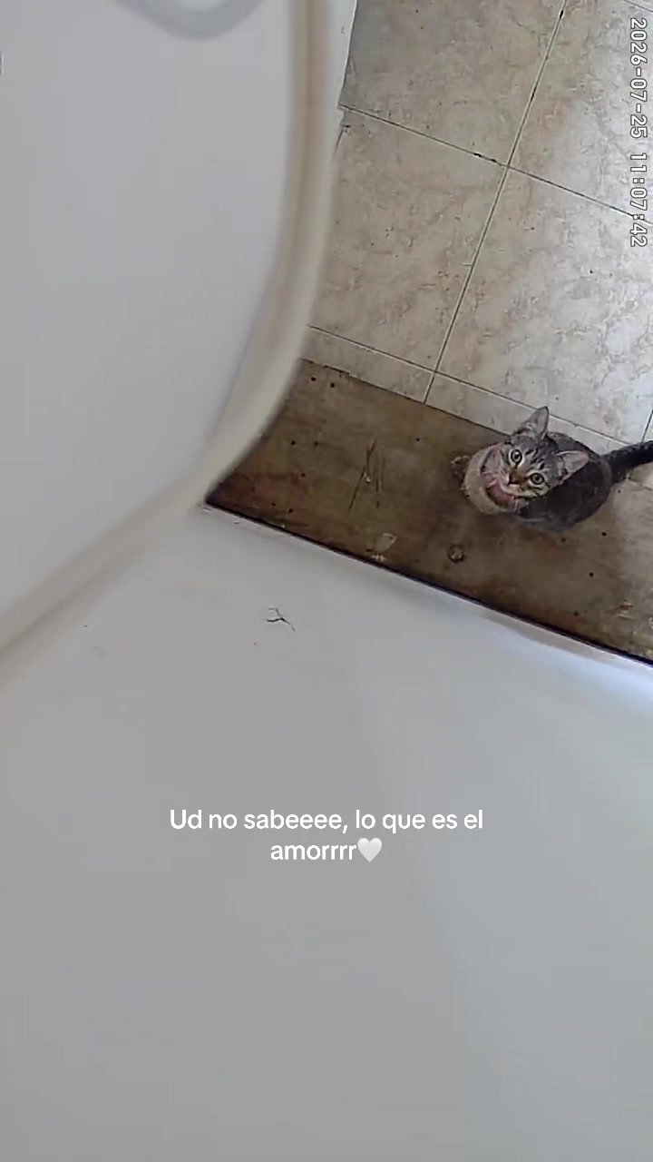 @karold_ gut30