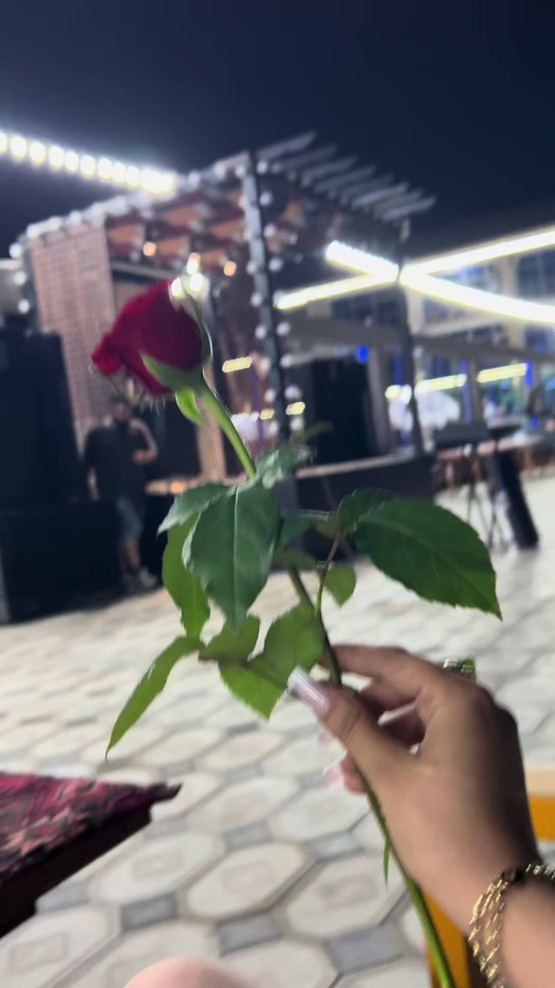 @sevaa.001