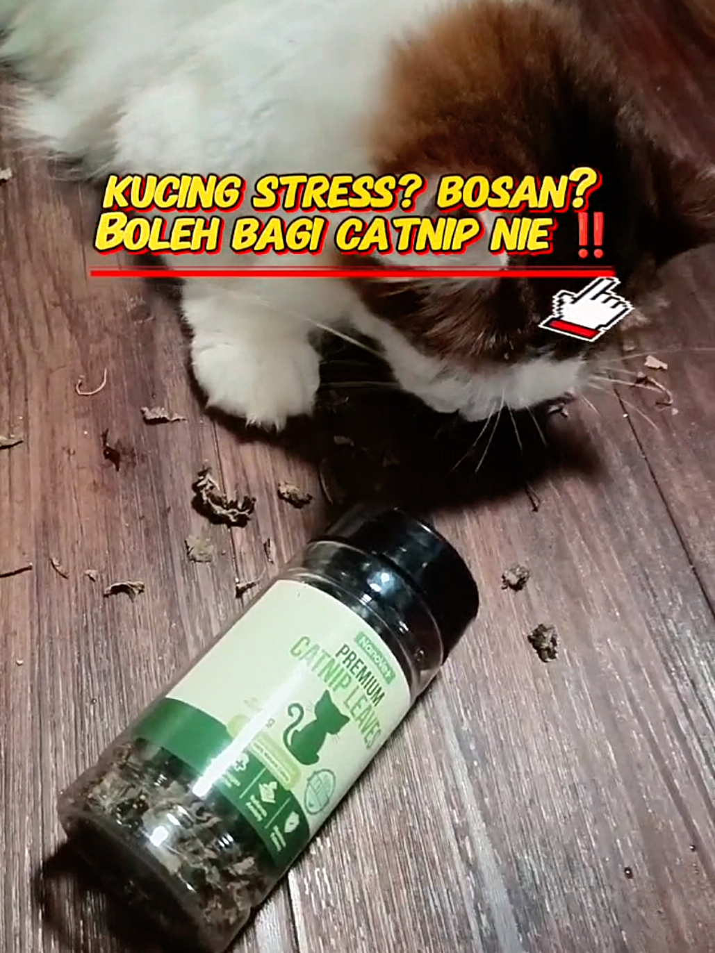 @Norazrena | Racun Tiktok