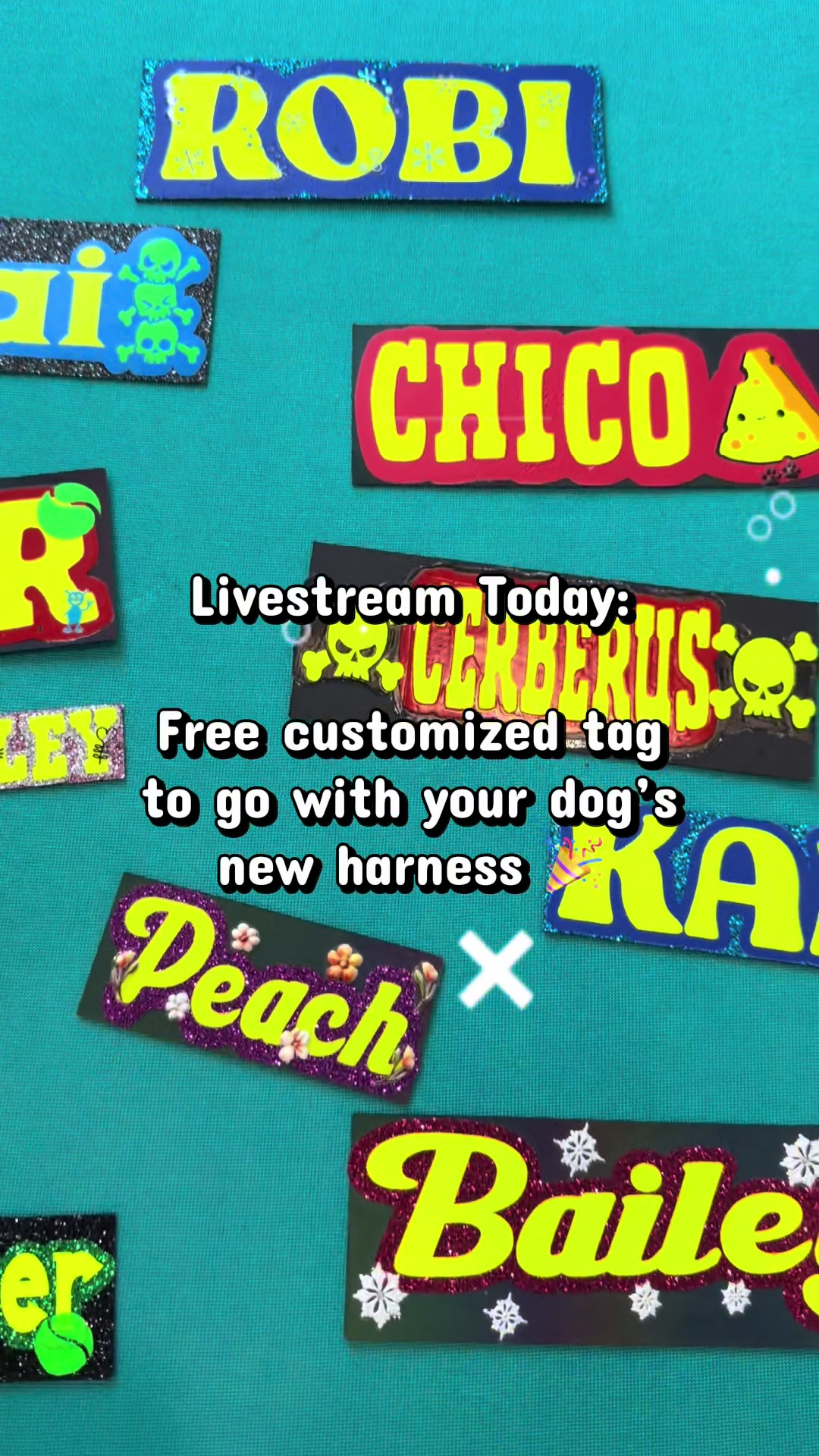 @Joyride Dogs