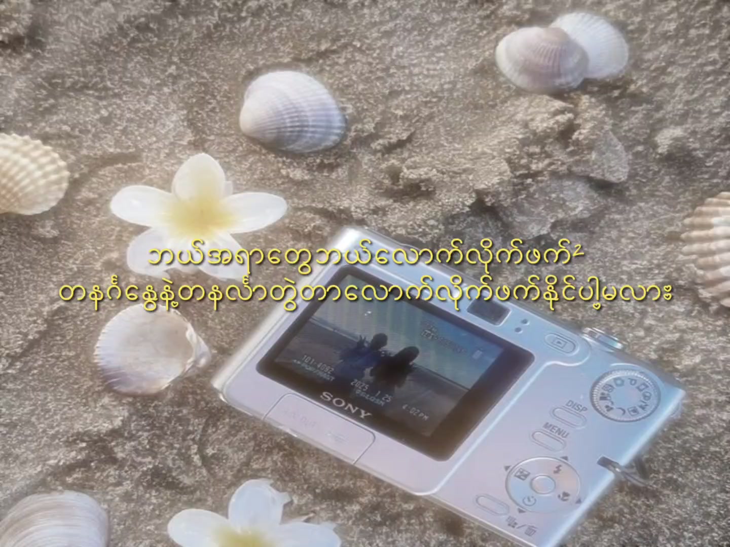 @๐๐๐๐ฝ๐๐๐๐ ๐๐แฅซแญก๐