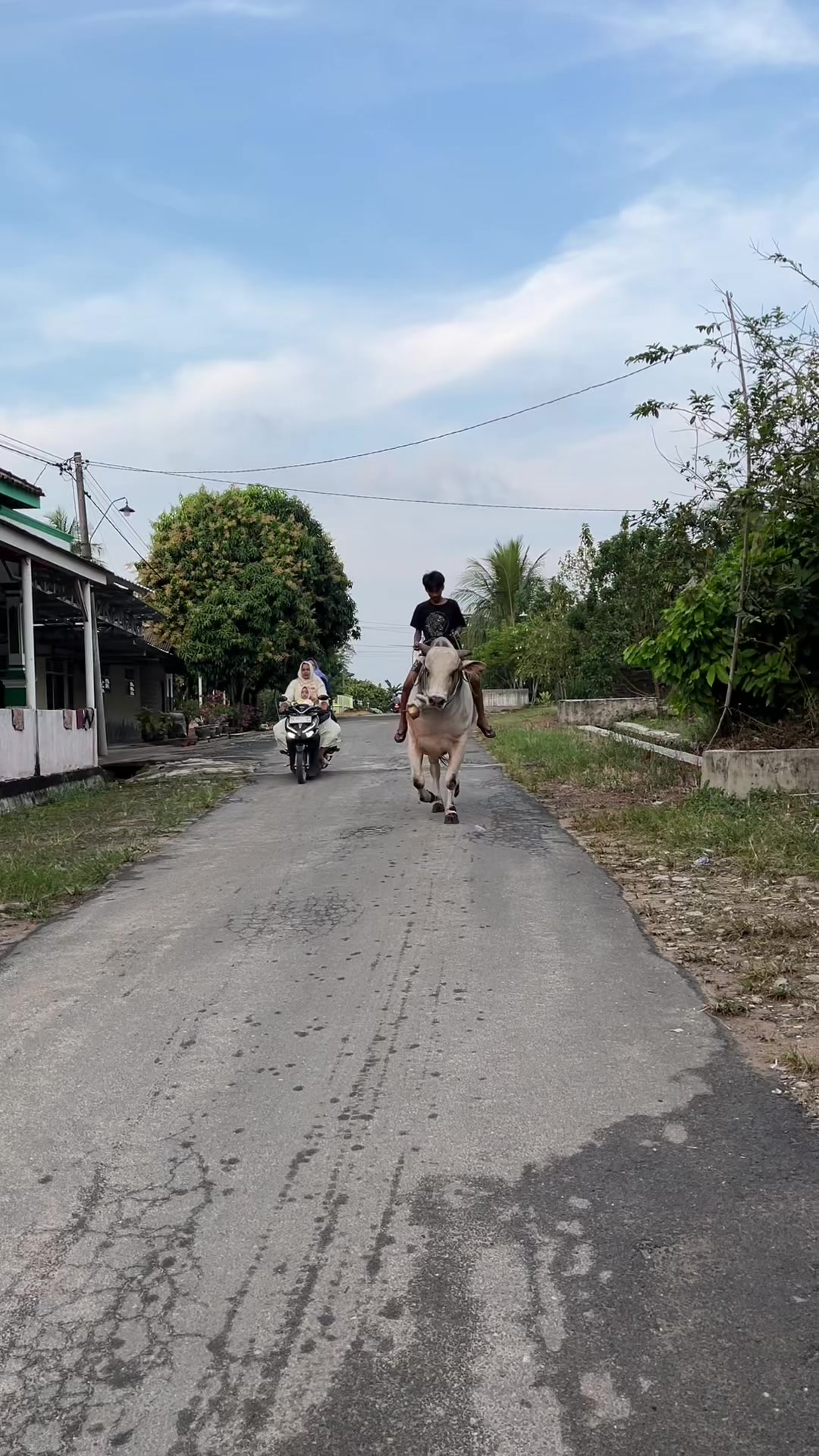 @Wisnu Farm Lampung