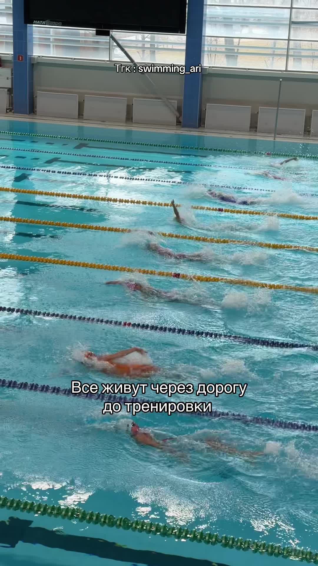 @ari.swimming💙