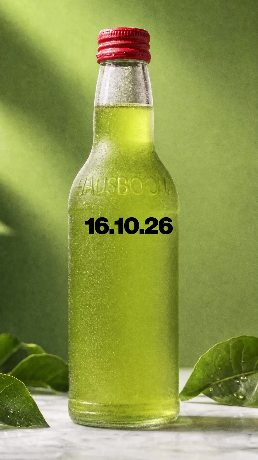 @hausboomhq