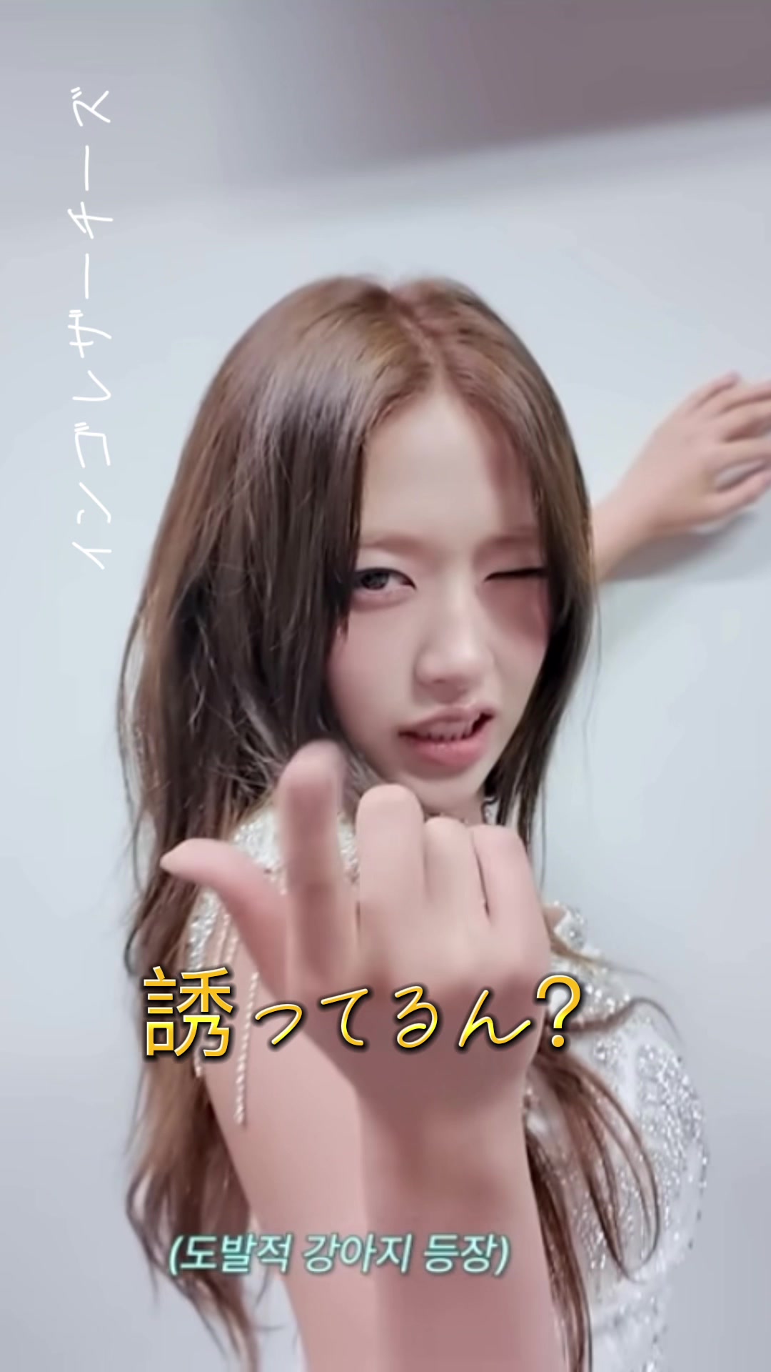 @インゴ・レザーチーズ・幸田