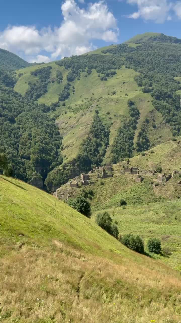 @Bashlam.999live