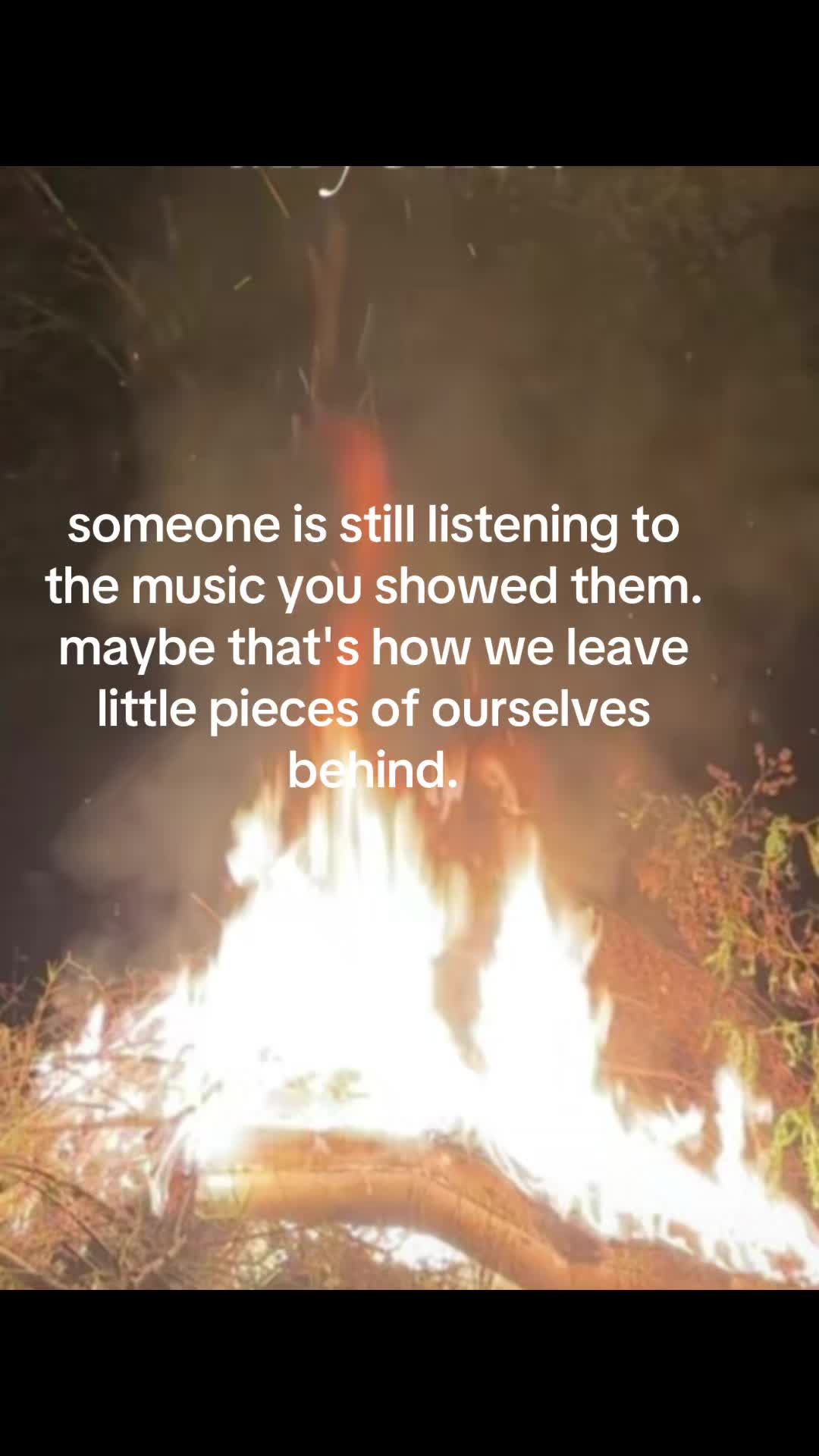 @Vanessa 🖤