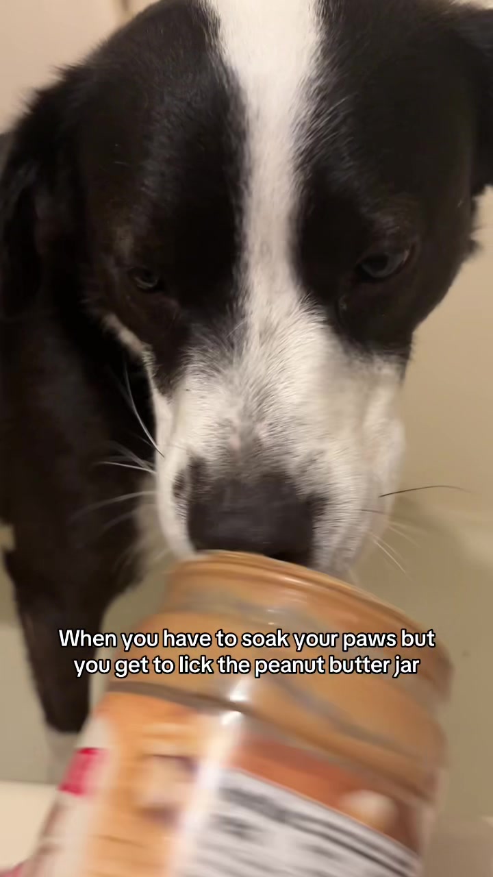 @Michelle, Bruce & Kuzco